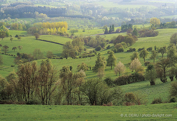 paysage